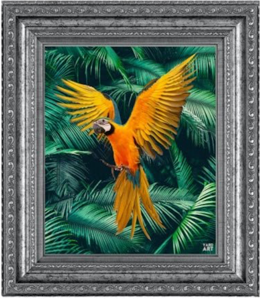 THE MACAW