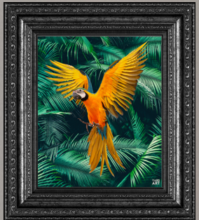THE MACAW