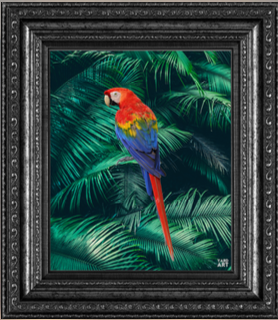 THE MACAW