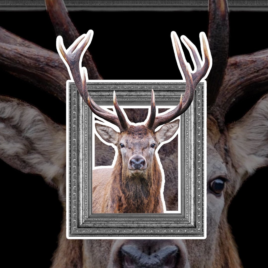 Monsieur George - Our Retired Market Trader - YARDART UK