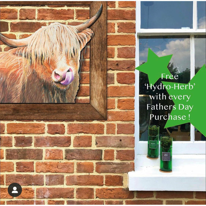Sienna Monsieur Hamish by Ellie Payne HERITAGE YARDART UK