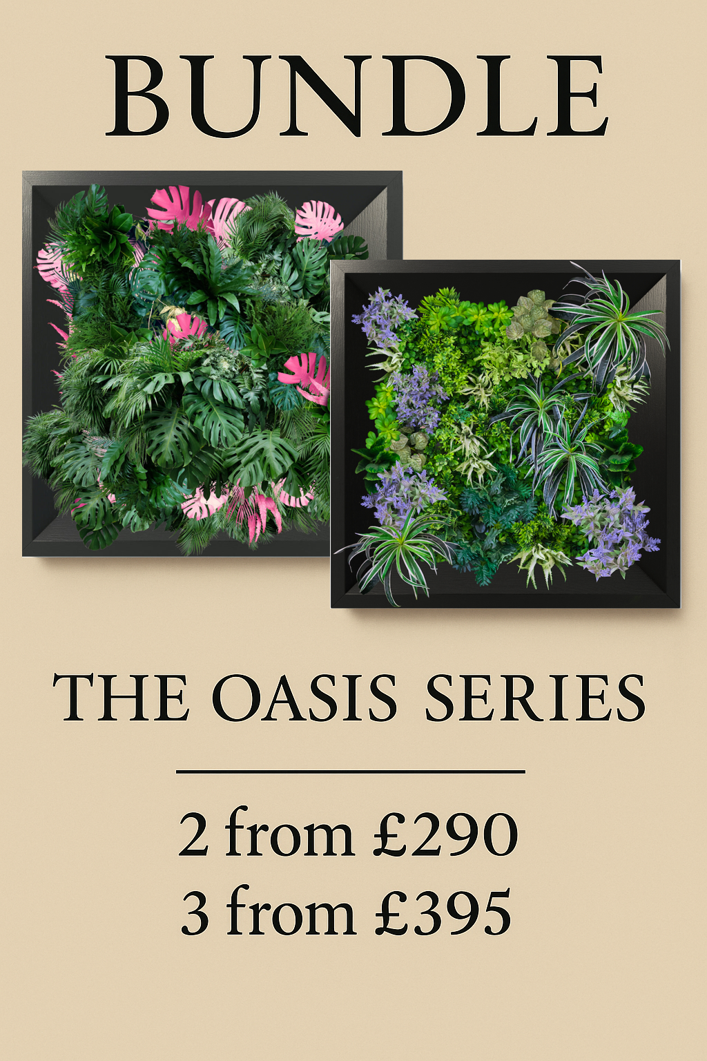 BUNDLE  - THE OASIS SERIES