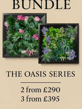 BUNDLE  - THE OASIS SERIES