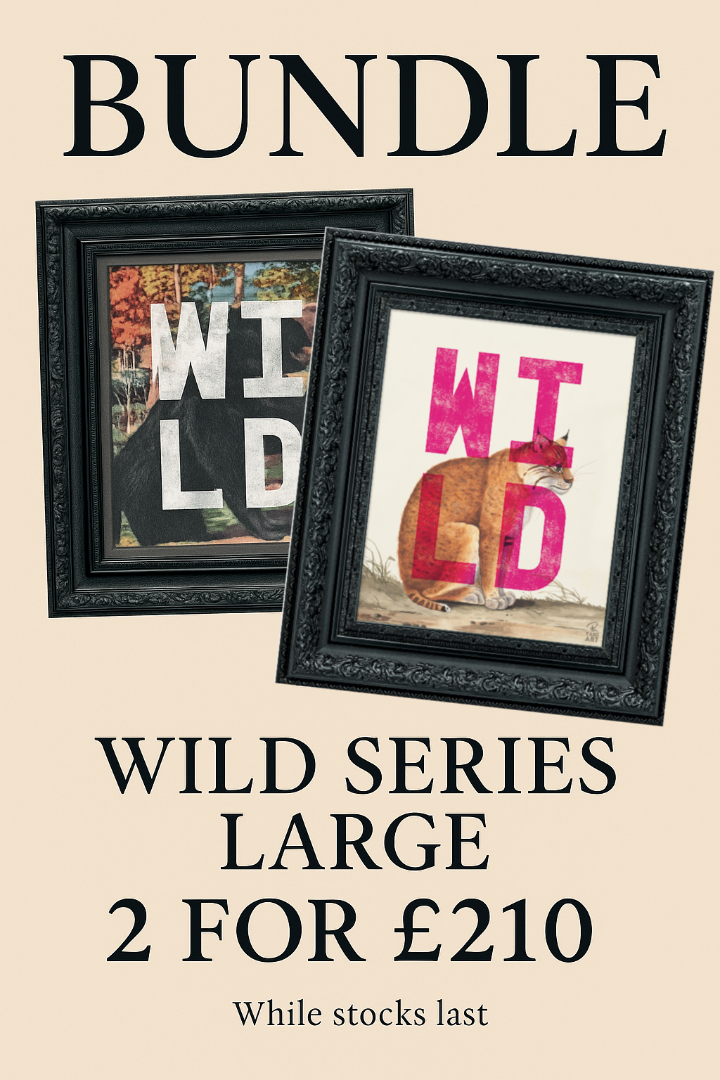 BUNDLE SAMPLE WILD BEAR & WILD CAT LARGE (PAIR)