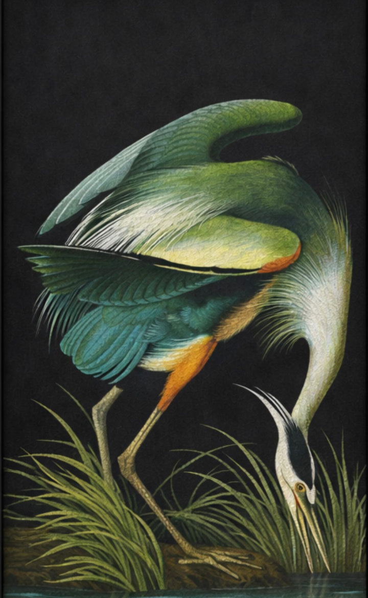 Colorful bird painting on a dark background