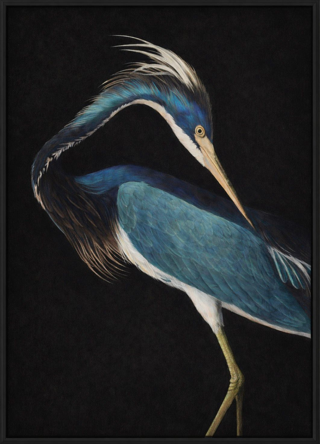 Artistic depiction of a blue heron on a black background