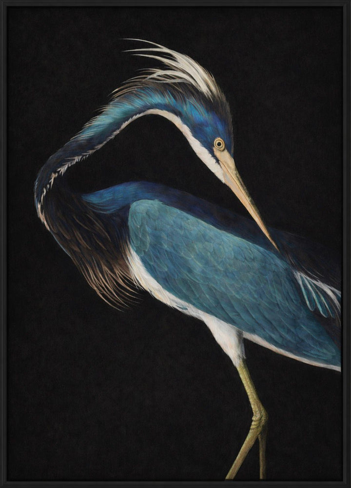 Artistic depiction of a blue heron on a black background