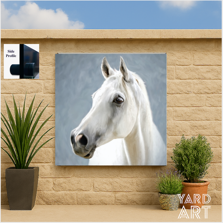 EQUINE SAMPLES