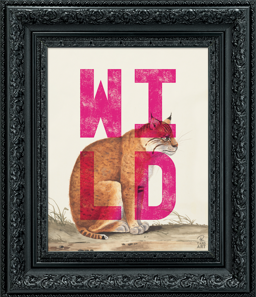 WILD SAMPLES (UK ONLY)