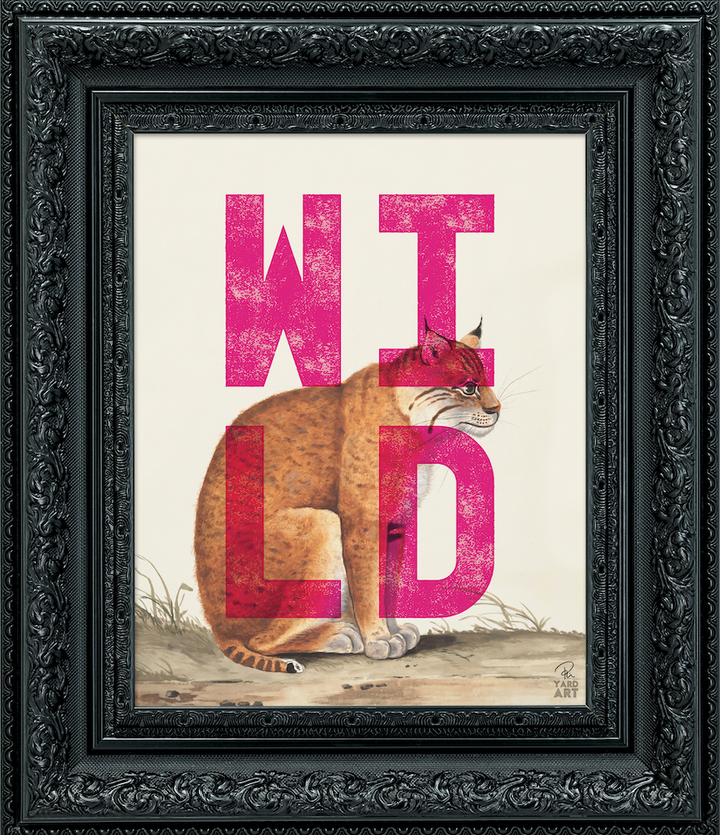 WILD SAMPLES (UK ONLY)