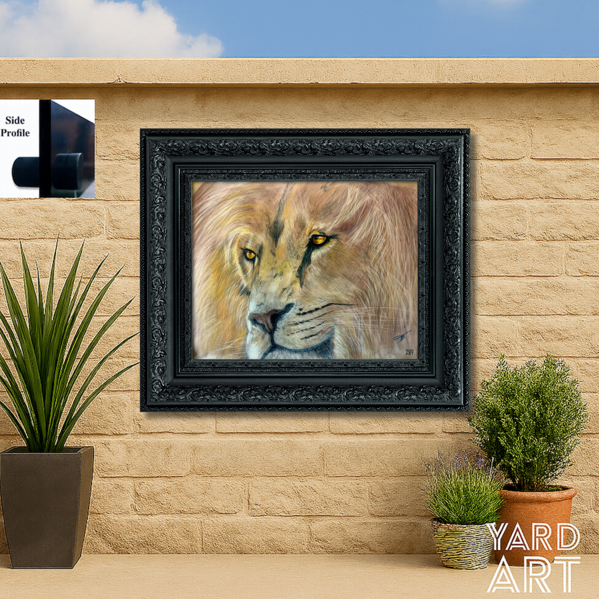 ANIMAL KINGDOM SERIES