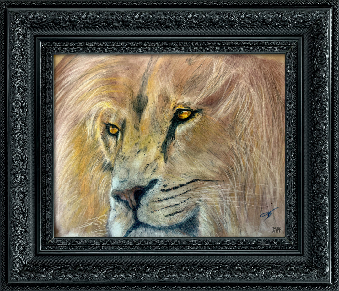 animal kingdom series 