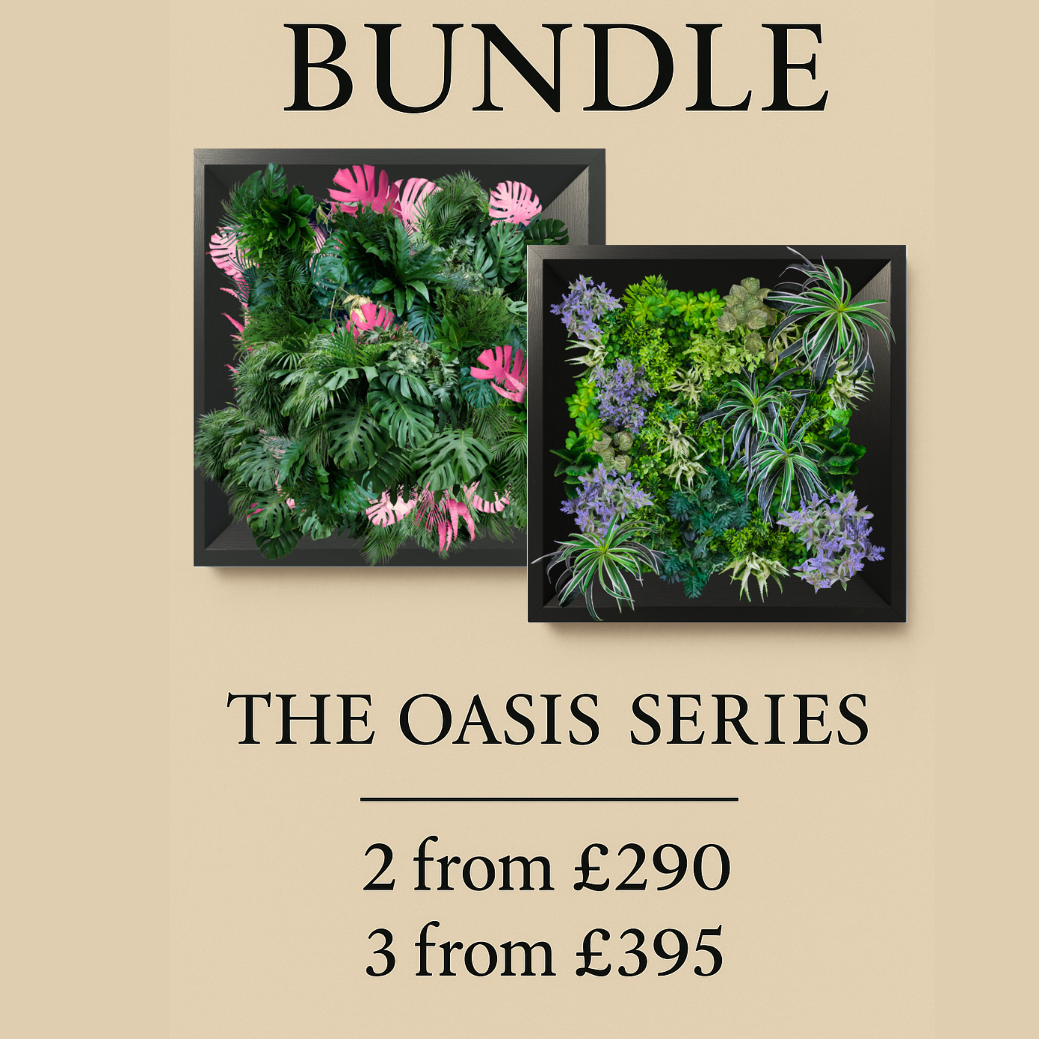 BUNDLE  - THE OASIS SERIES