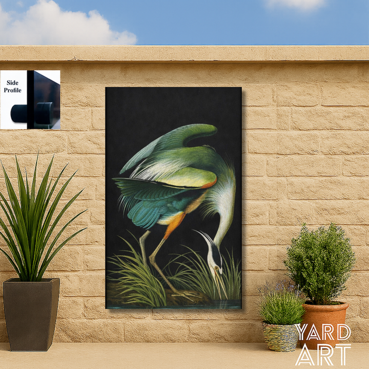 THE NOCTURNE COLLECTION