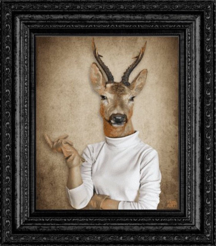 Give A Damn AKA Countess Catherine - YARDART UK