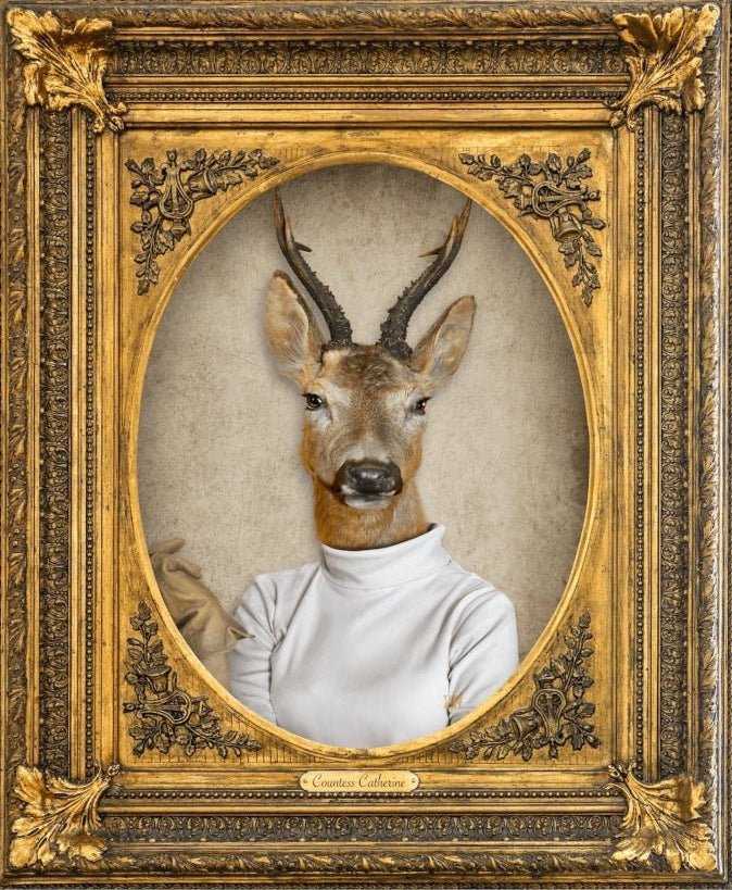 Give A Damn AKA Countess Catherine - YARDART UK