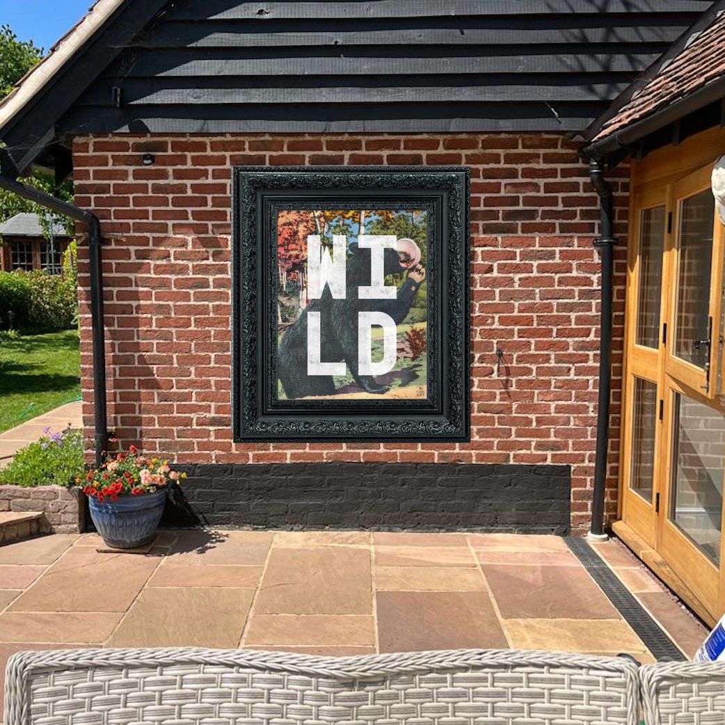 BUNDLE SAMPLE WILD BEAR & WILD CAT LARGE (PAIR)